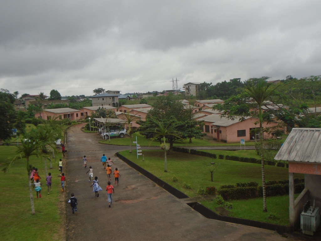 CV Douala ok